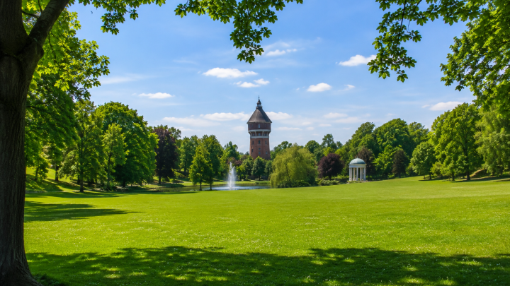 Bürgerpark