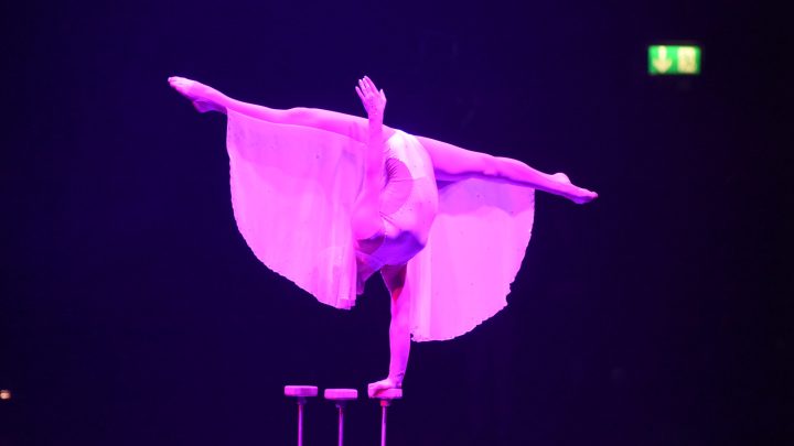 Artistin balanciert in einer akrobatischen Pose auf Handstäben unter violettem Bühnenlicht.